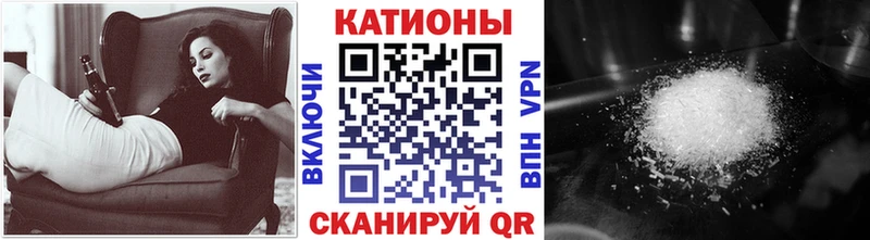 закладка  Холм  МЯУ-МЯУ VHQ 